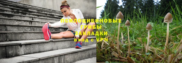 гидропоника Армянск
